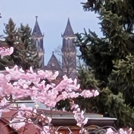 Haus Schmeile Magdeburg Exterior foto