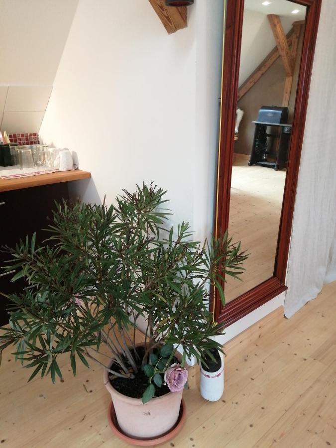 Haus Schmeile Apartment